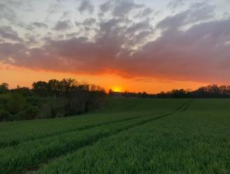 Across the fields