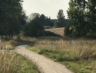 Nature Reserve Pathway