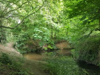 River Stour running through Meadow